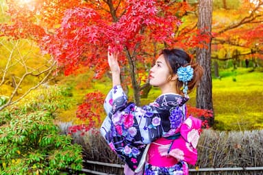Mùa thu lá đỏ ở Nhật Bản: Cẩm nang du lịch, thời điểm và điểm đến đẹp nhất
