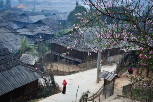 Ngọc Chiến được coi là vùng đất cao nhất của huyện Mường La với hàng trăm nóc nhà làm bằng gỗ pơmu, một loại gỗ quý, bền bỉ với thời gian.