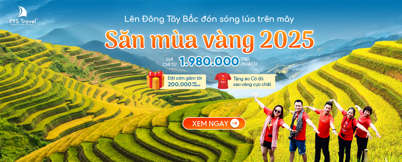 Tour Trong Nước mùa lúa chín 2025
