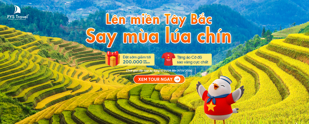 Tour mùa lúa chín 2026