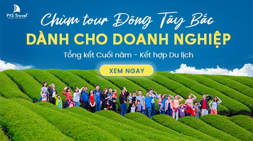 Chùm Tour Đông Tây Bắc cho Doanh nghiệp