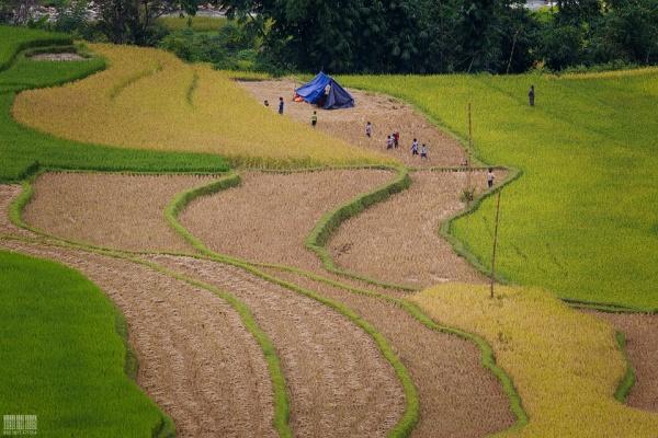 mu-cang-chai-pys-travel005