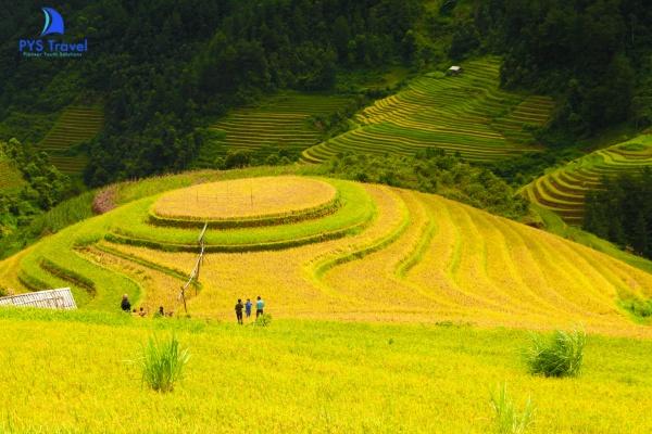 mu-cang-chai-pys-travel003