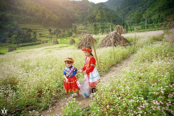 ha giang