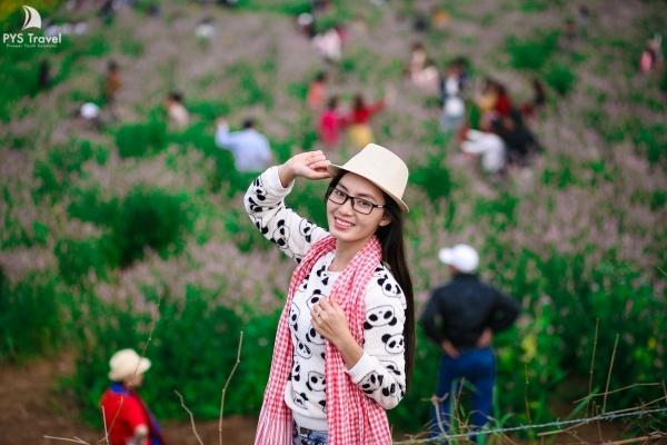 hoa-huong-duong-pys-travel012