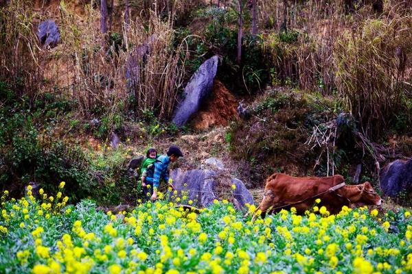 ha-giang-pys-travel012