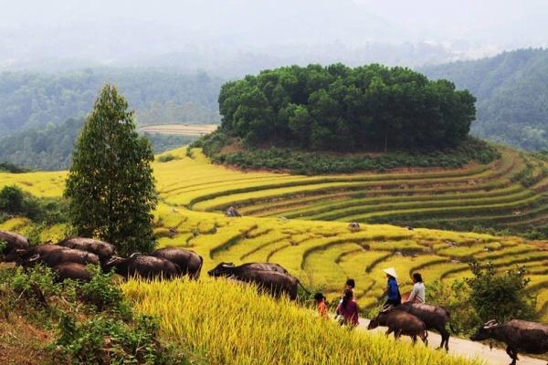 binh-lieu-pys-travel005