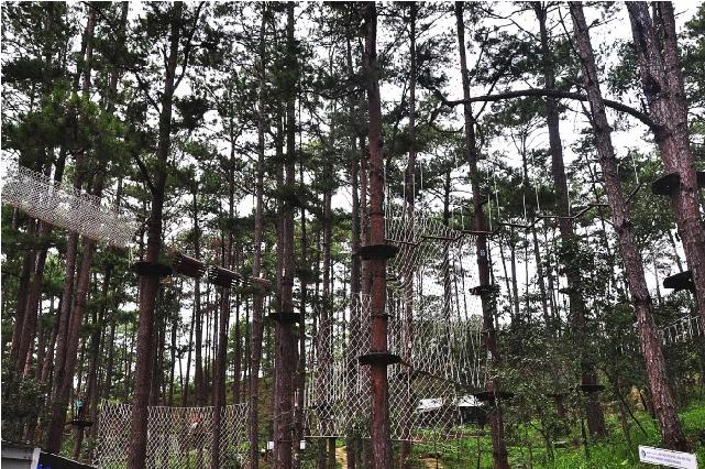 du-lich-da-lat-pystravel-06