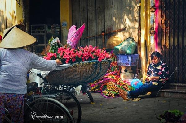 Ảnh: NAG Cao Anh Tuan