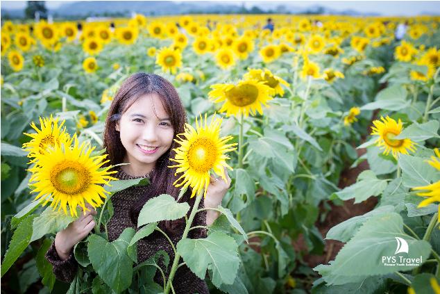 huong-duong-nghe-an-pystravel-02