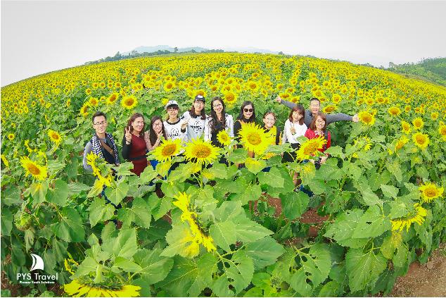 huong-duong-nghe-an-pystravel-03