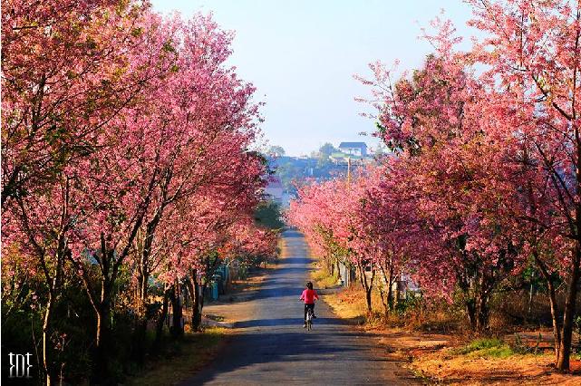 da-lat-pys-travel-07