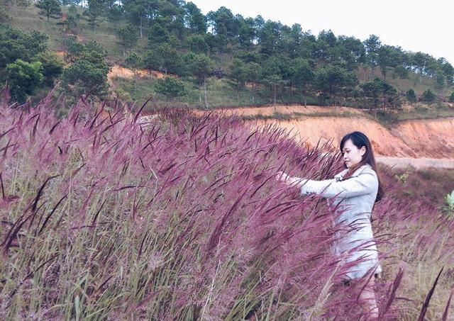 du-lich-da-lat-pystravel-03