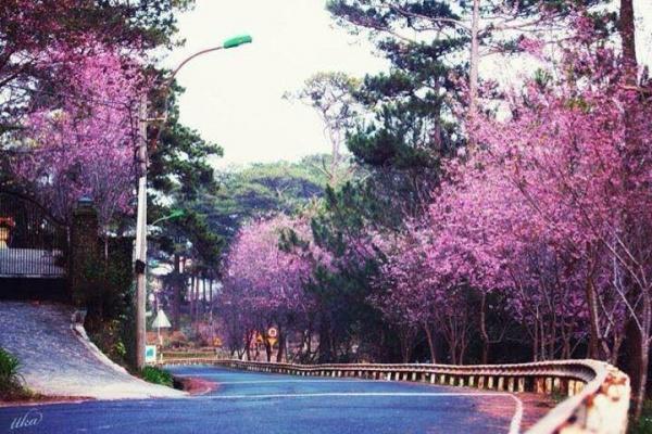 da-lat-pys-travel006