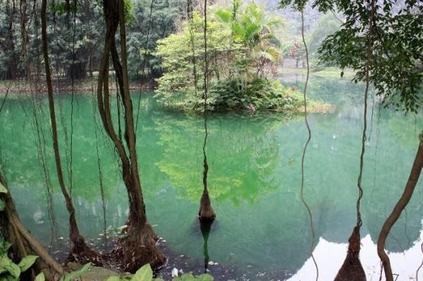 hang-mua-ninh-binh-pys-travel001