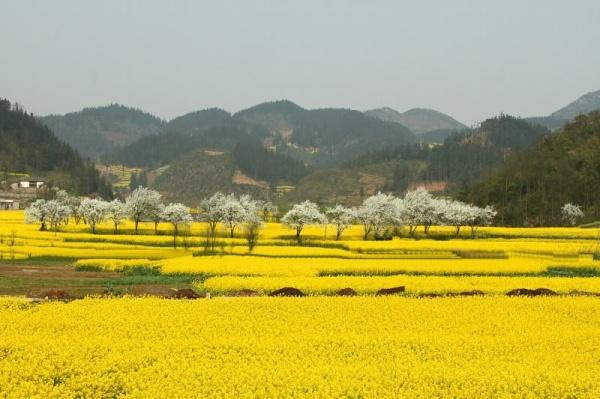 la-binh-nam-ninh-pys-travel001