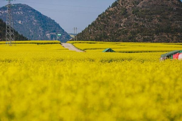 la-binh-nam-ninh-pys-travel004