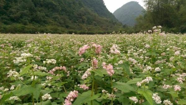 ninh-binh-pys-travel001