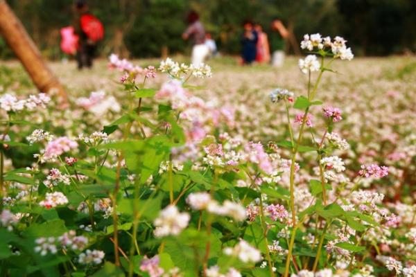 ninh-binh-pys-travel001_001