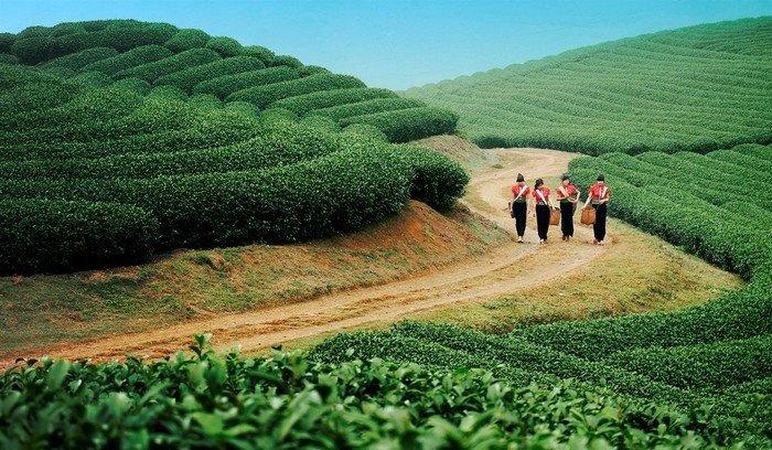 Du lịch Mộc Châu, Cung đường chữ S Mộc Châu