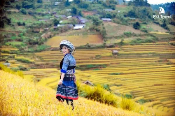Tour Mù Cang Chải 2026