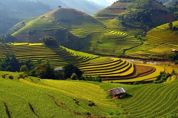 mu-cang-chai-pys-travel003