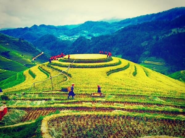 mu-cang-chai-pys-travel005