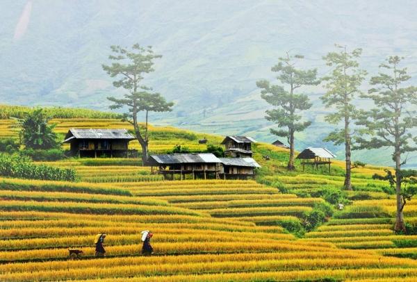 mu-cang-chai-pys-travel001