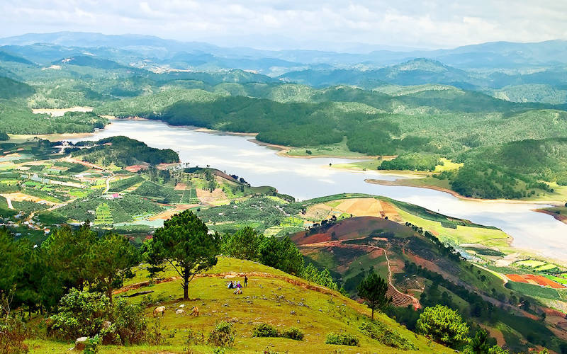 cao nguyên lâm viên