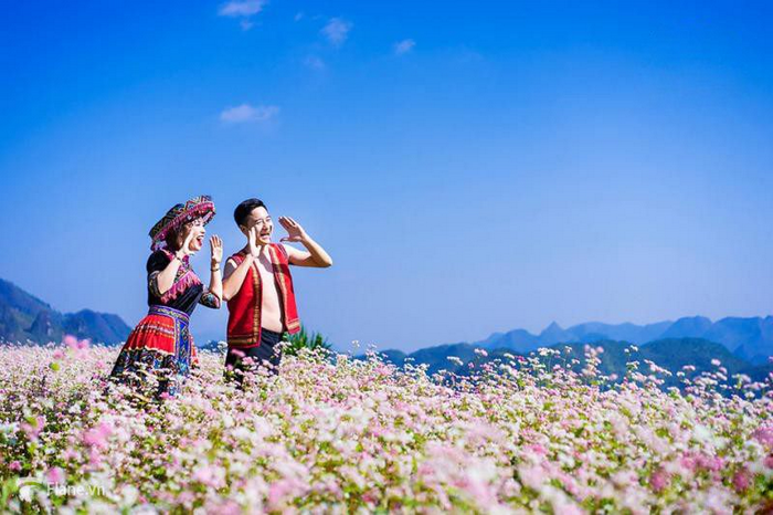 hà giang mùa tam giác mạch