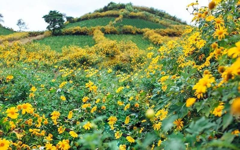 Khu vực thị trấn Nông trường Mộc Châu