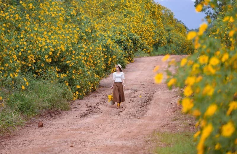 Trang phục đơn giản nhưng làm bật lên vẻ đẹp của các nàng