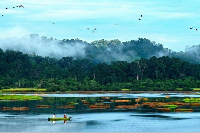 Nam Cát Tiên, du lịch Tết dương lịch