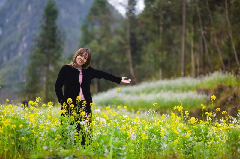 hoa cải hà giang