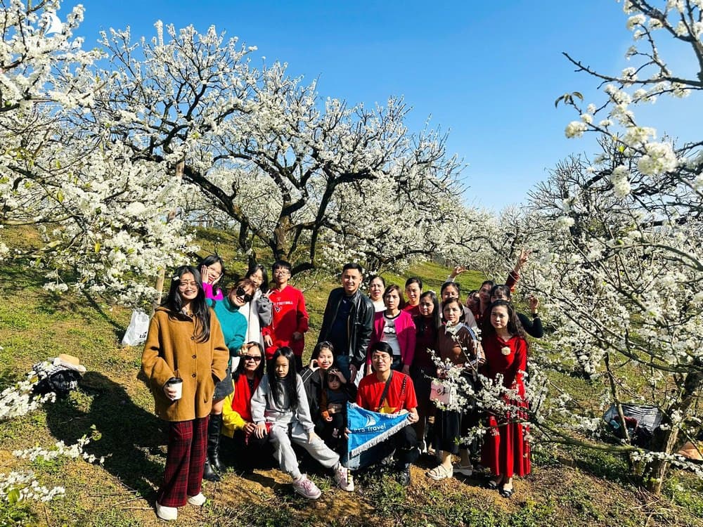 Tour hoa mận Mộc Châu PYS Travel