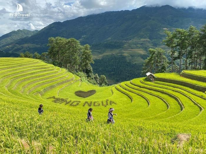 check in vành móng ngựa