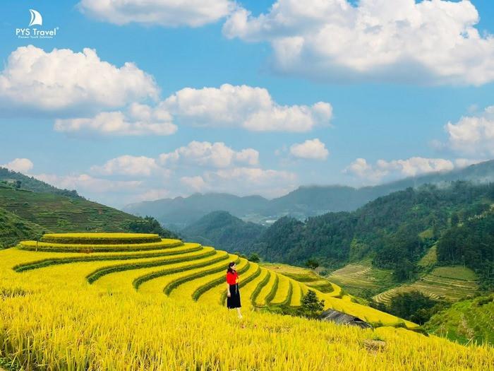 Mùa lúa chín Mù Cang Chải thu hút lượng khách du lịch tăng vọt