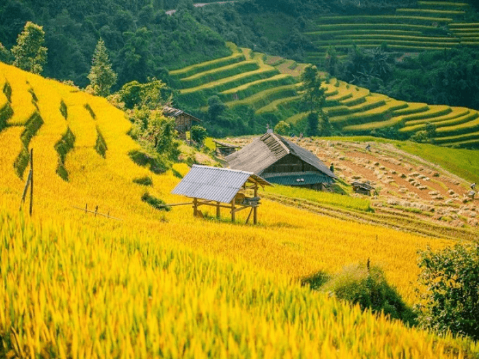 các điểm du lịch ở mù cang chải 