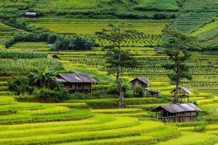 Bản Lìm Mông