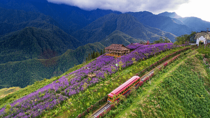 thung lũng mường hoa sapa