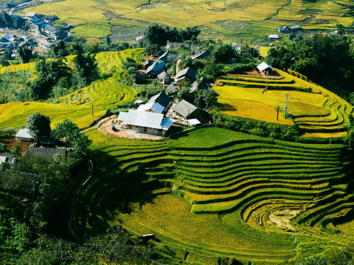 du lịch lào cai 