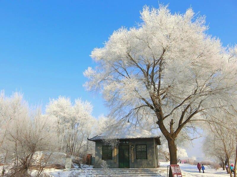 mùa đông ở cát lâm