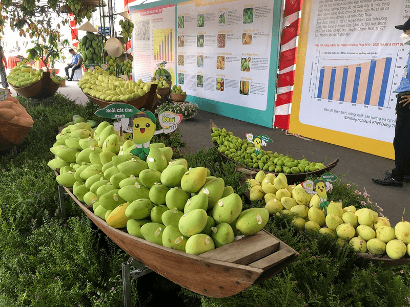 xoài cao lãnh đồng tháp