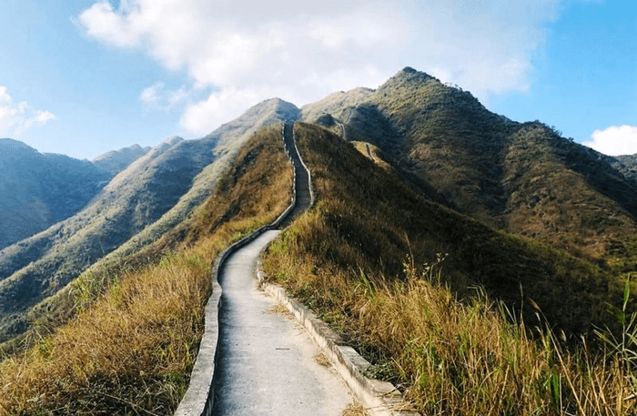 sống lưng khủng long bình liêu