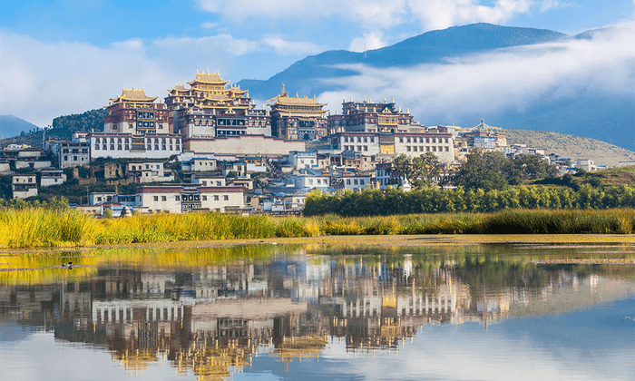 tùng tán lâm tự shangrila