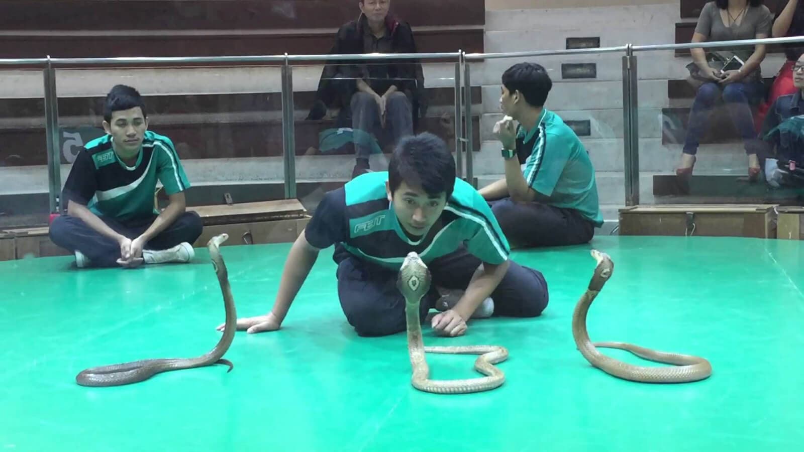 Viện nghiên cứu Rắn Snake Farm