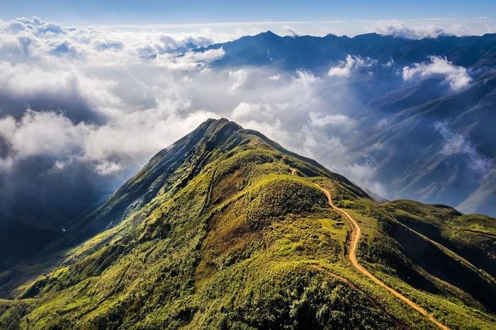 sống lưng khủng long tà xùa