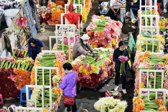 chợ hoa đấu nam côn minh