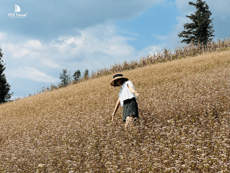 thảo nguyên suôi thầu