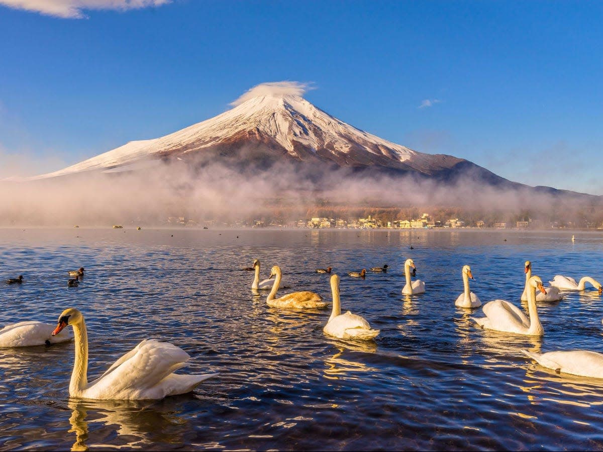 Tour Núi Phú Sĩ tết âm lịch